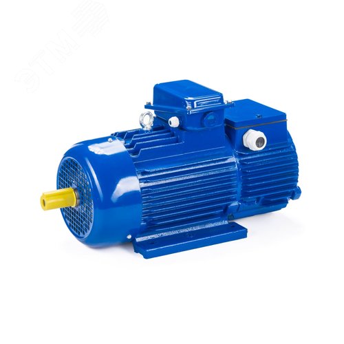 Электродвигатель крановый 312-6  IM 1001 15/1000 ( 11