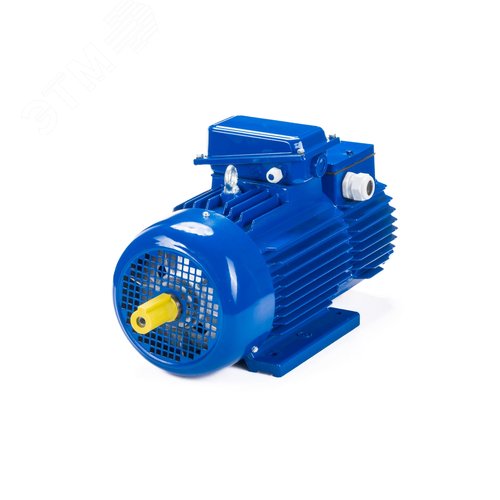 Электродвигатель крановый 312-6  IM 1001 15/1000 ( 12