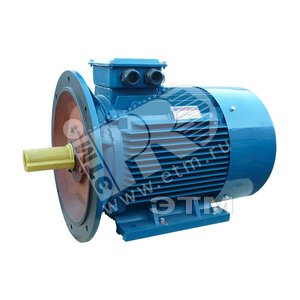 Электродвигатель 5АИ 225 М2 55/3000  IM 2001  Китай (5АИ 225 М2 55/3000  IM 2001  Китай) - Elcom