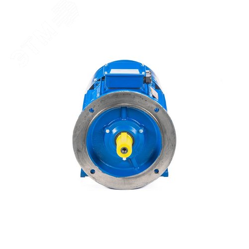 5АИ 100 L4 ED  4/1500 IM 2081 - фото 2