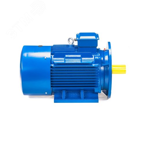 5АИ 100 L4 ED  4/1500 IM 2081 - фото 4