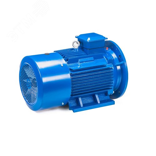 5АИ 100 L4 ED  4/1500 IM 2081 - фото 5