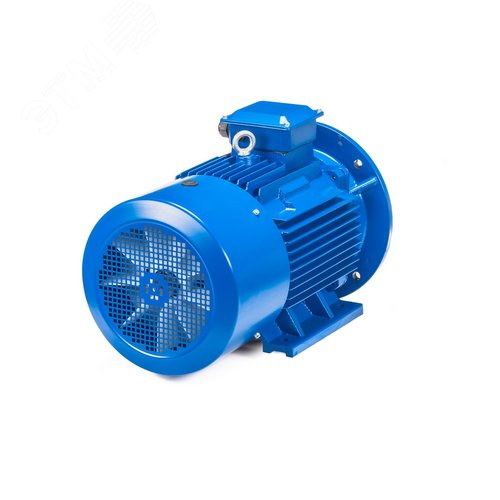 5АИ 100 L4 ED  4/1500 IM 2081 - фото 6