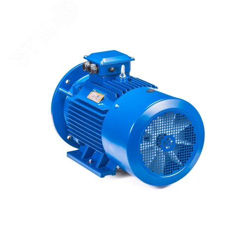 5АИ 100 L4 ED  4/1500 IM 2081 - фото 8