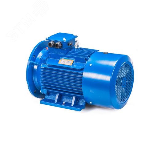 5АИ 100 L4 ED  4/1500 IM 2081 - фото 9