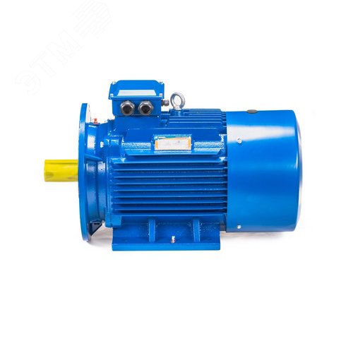 5АИ 100 L4 ED  4/1500 IM 2081 - фото 10
