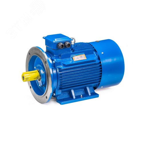 5АИ 100 L4 ED  4/1500 IM 2081 - фото 11