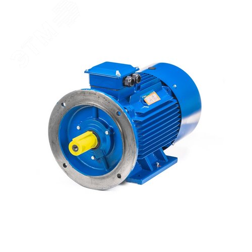 5АИ 100 L4 ED  4/1500 IM 2081 - фото 12