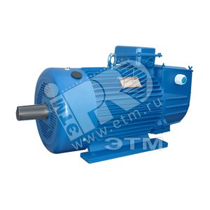 Электродвигатель 5MTH 200 LA8 15/750 IM 1003 (01.03.01.000179) - Elcom