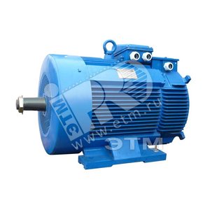 Электродвигатель 5MTH 400 М10 132/600 IM 1003 (01.03.01.000551) - Elcom