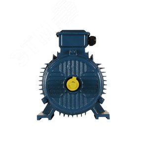 Электродвигатель 5АИ 132 S4 7.6/1500 IM1081 (5АИ 132 S4 7.6/1500  IM 1081  Китай) - фото 2