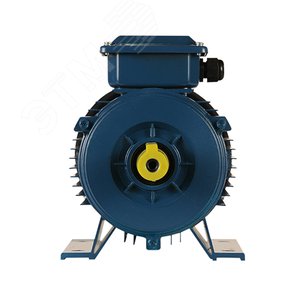 Электродвигатель 5АИ 90 L6 1.5/1000 IM1081 (5АИ 90 L6 1.5/1000  IM 10) - фото 2