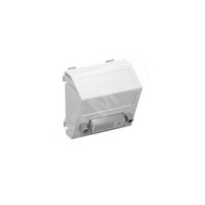 Мультимедийная рамка DVI Modul45 (белый) (MTS-DVI S RW1) | 6104742 | OBO Bettermann - OBO Bettermann