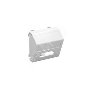 Мультимедийная рамка DVI Modul45 (серебристый) (MTS-DV O AL1) | 6104796 | OBO Bettermann - OBO Bettermann