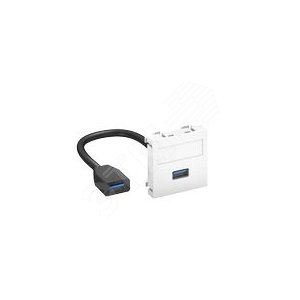Мультимедийная рамка USB 3.0 A-A Modul45 (черный) (MTG-U3A F SWGR1) | 6104925 | OBO Bettermann - OBO Bettermann