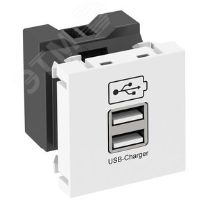 Зарядное устройство USB тип А (1,2 А / 2 х 0,6 А, черный) (MTG-2UC2.1 SWGR1) - OBO Bettermann