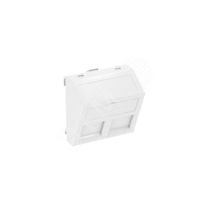 Корпус компьютерной розетки Modul45 тип C (наклонный) 45x45 мм (белый)