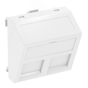 Корпус компьютерной розетки Modul45 тип OBO (наклонный) 45x45 мм (белый) (DTS-2RM RW1) | 6119298 | OBO Bettermann - OBO Bettermann