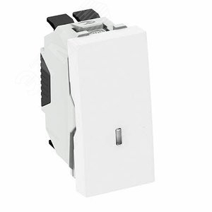 Переключатель 1-полюсный с подсветкой, 10 A / 250 В (белый) (WS-UKL RW0.5) - OBO Bettermann