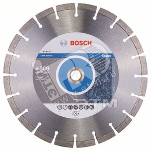 Диск алмазный Standard for Stone 300-22.23 (2.608.602.698) - BOSCH