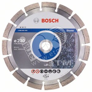 Диск алмазный Expert for Stone 230-22.23 (2.608.602.592) - BOSCH