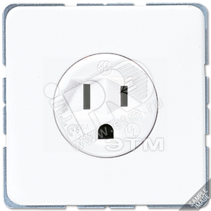 Розетка 15A 125V USA-стандарт системы US-NEMA 5-20 R - JUNG