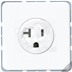 Розетка 20A 125V системы US-NEMA 5-20 R - JUNG