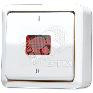 Выключатель контрольный 10 AX 250V накладной