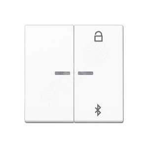 Таймер универсальный Bluetooth для LB вставки  жалюзи  /  освещение . - JUNG