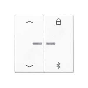 Таймер универсальный Bluetooth со  стрелками  для LB вставки  жалюзи  /  освещение . - JUNG