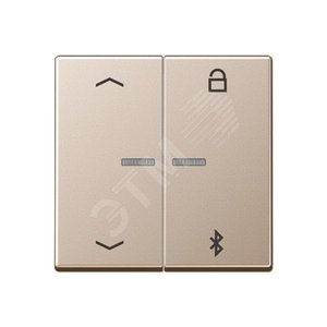 Таймер универсальный Bluetooth со  стрелками  для LB вставки  жалюзи  /  освещение . - JUNG