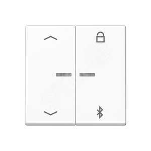 Таймер универсальный Bluetooth со  стрелками  для LB вставки  жалюзи  /  освещение . Серия A500  Материал- дуропласт  Цвет- белый - JUNG