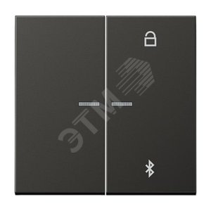 Таймер универсальный Bluetooth для LB вставки  жалюзи  /  освещение . - JUNG