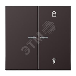 Таймер универсальный Bluetooth для LB вставки  жалюзи  /  освещение . Серия LS990  Материал- металл  Цвет- алюминий дарк - JUNG
