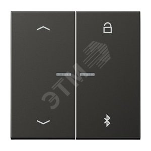 Таймер универсальный Bluetooth со  стрелками  для LB вставки  жалюзи  /  освещение . - JUNG