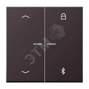 Таймер универсальный Bluetooth со  стрелками  для LB вставки  жалюзи  /  освещение . - JUNG