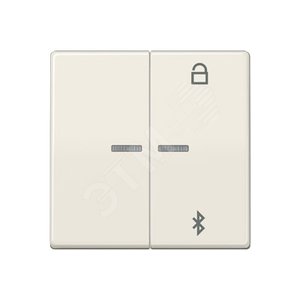Таймер универсальный Bluetooth для LB вставки  жалюзи  /  освещение . - JUNG