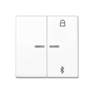 Таймер универсальный Bluetooth для LB вставки  жалюзи  /  освещение . Серия AS500  Материал- дуропласт  Цвет- белый - JUNG