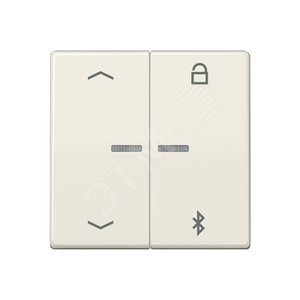 Таймер универсальный Bluetooth со  стрелками  для LB вставки  жалюзи  /  освещение . Серия AS500  Материал- дуропласт  Цвет- слоновая кость - JUNG
