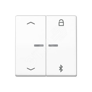 Таймер универсальный Bluetooth со  стрелками  для LB вставки  жалюзи  /  освещение . - JUNG