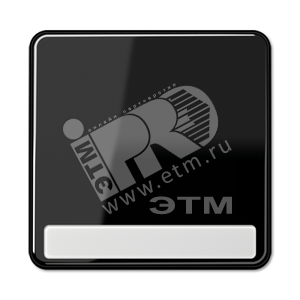 Клавиша для выключателя с полем для надписи  черная