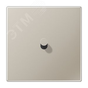 Плата центральная 1 пост, 1 тумблер, конус, металлическое исполнение, нержавеющая сталь, серия LS