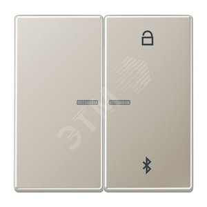 Таймер универсальный Bluetooth для LB вставки  жалюзи  /  освещение . - JUNG