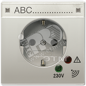 Штепсельная розетка SCHUKO 16А 250V~ с защитой от перенапряжения  благородная сталь - JUNG