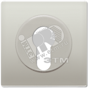 Крышка к выключателю для замочного механизма  благородная сталь