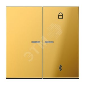 Таймер универсальный Bluetooth для LB вставки  жалюзи  /  освещение . - JUNG