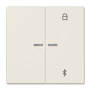 Таймер универсальный Bluetooth для LB вставки  жалюзи  /  освещение . Серия LS990  Материал- дуропласт  Цвет- слоновая кость - JUNG