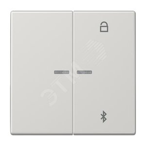 Таймер универсальный Bluetooth для LB вставки  жалюзи  /  освещение . Серия LS990  Материал- дуропласт  Цвет- светло-серый (LS1751BTLG) - JUNG
