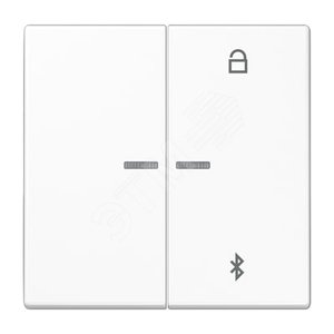 Таймер универсальный Bluetooth для LB вставки  жалюзи  /  освещение . - JUNG