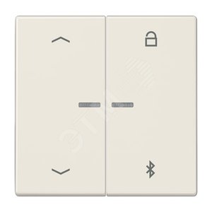 Таймер универсальный Bluetooth со  стрелками  для LB вставки  жалюзи  /  освещение . - JUNG